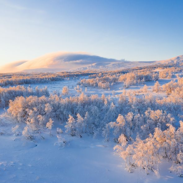 Winterland northern Europe, Swedish Lapland